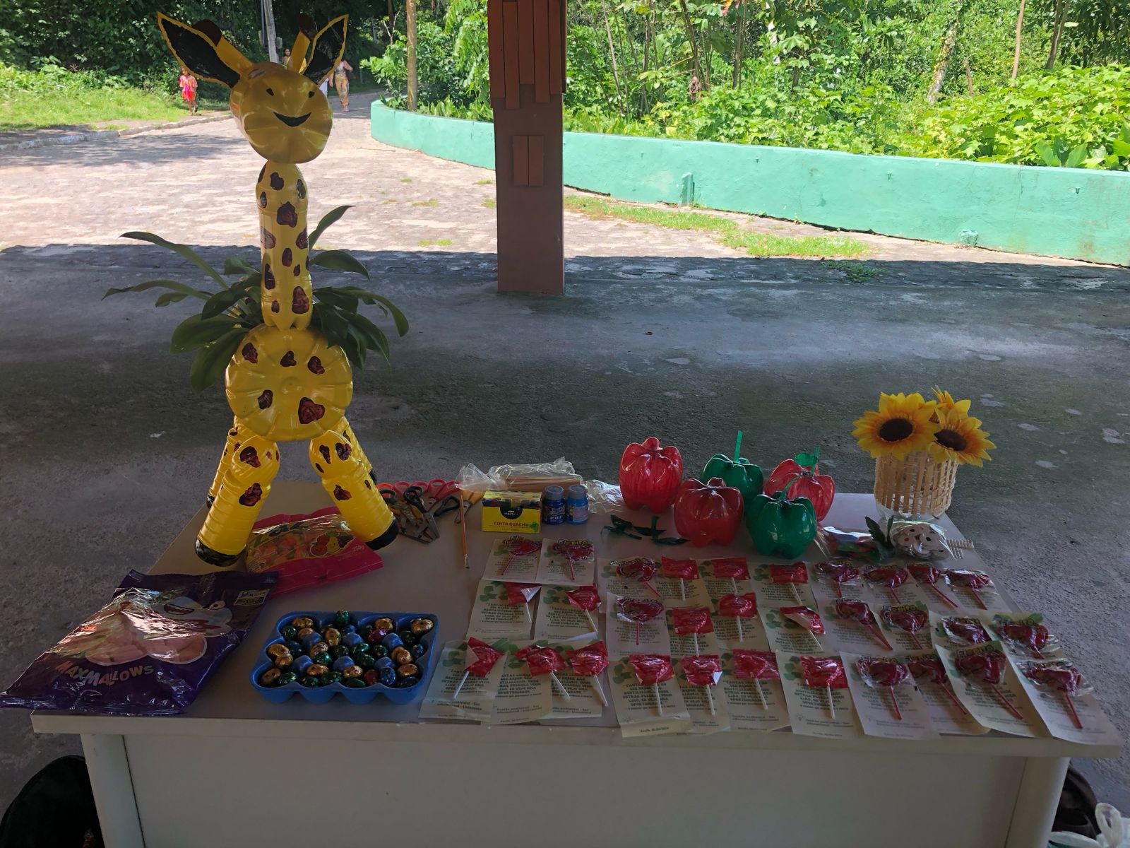 Trabalho de Campo1